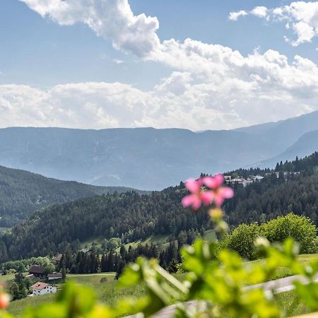 Haughof Apartement Blumenwiese Verano エクステリア 写真